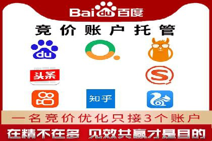 竞价SEM助力电商平台快速提升流量